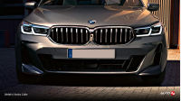 BMW 6 Series Grille