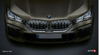 BMW X6 Grille