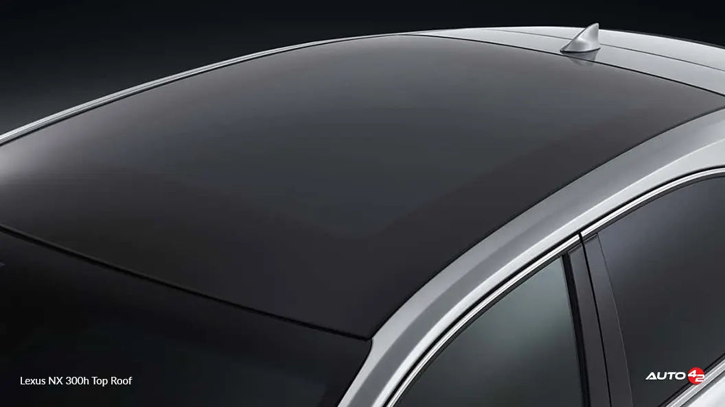 Lexus NX 300h Top Roof