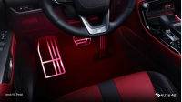 Lexus NX Pedal