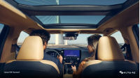 Lexus NX Sunroof