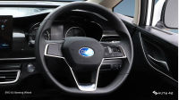 BYD E6 Steering Wheel