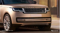 Land Rover Range Rover Grille