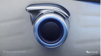 BYD Atto 3 Grip-Style Door Handles