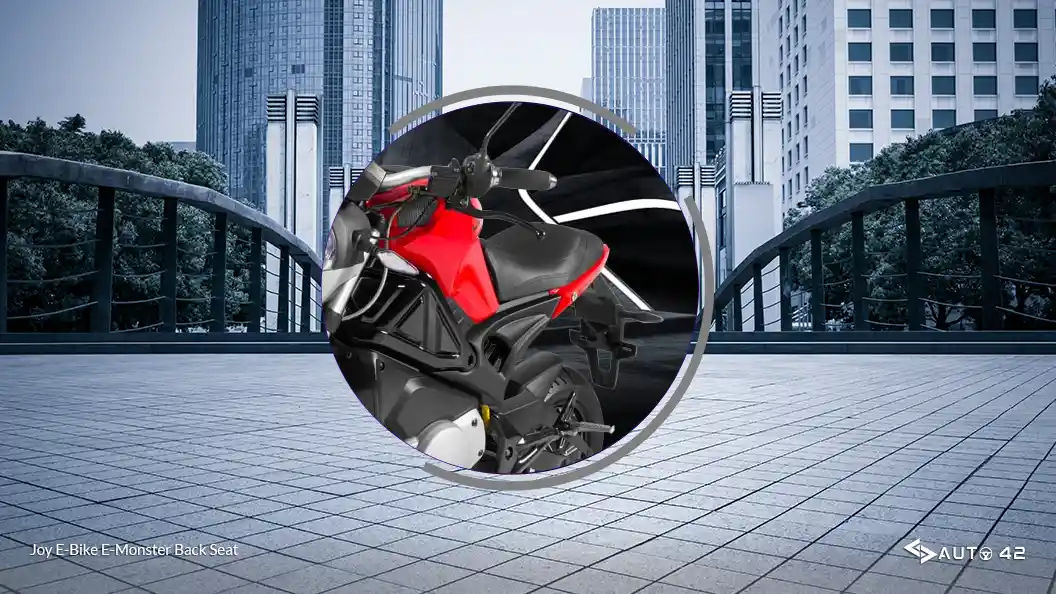 Joy E-Bike E-Monster Back Seat