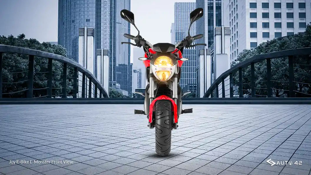 Joy E-Bike E-Monster Front View