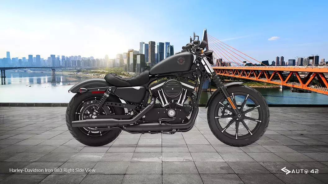 Harley-Davidson Iron 883 Right Side View