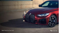 BMW 4 Series Gran Coupe Grille