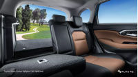 Toyota Urban Cruiser HyRyder CNG Split Seat
